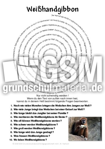 Weißhandgibbon.pdf